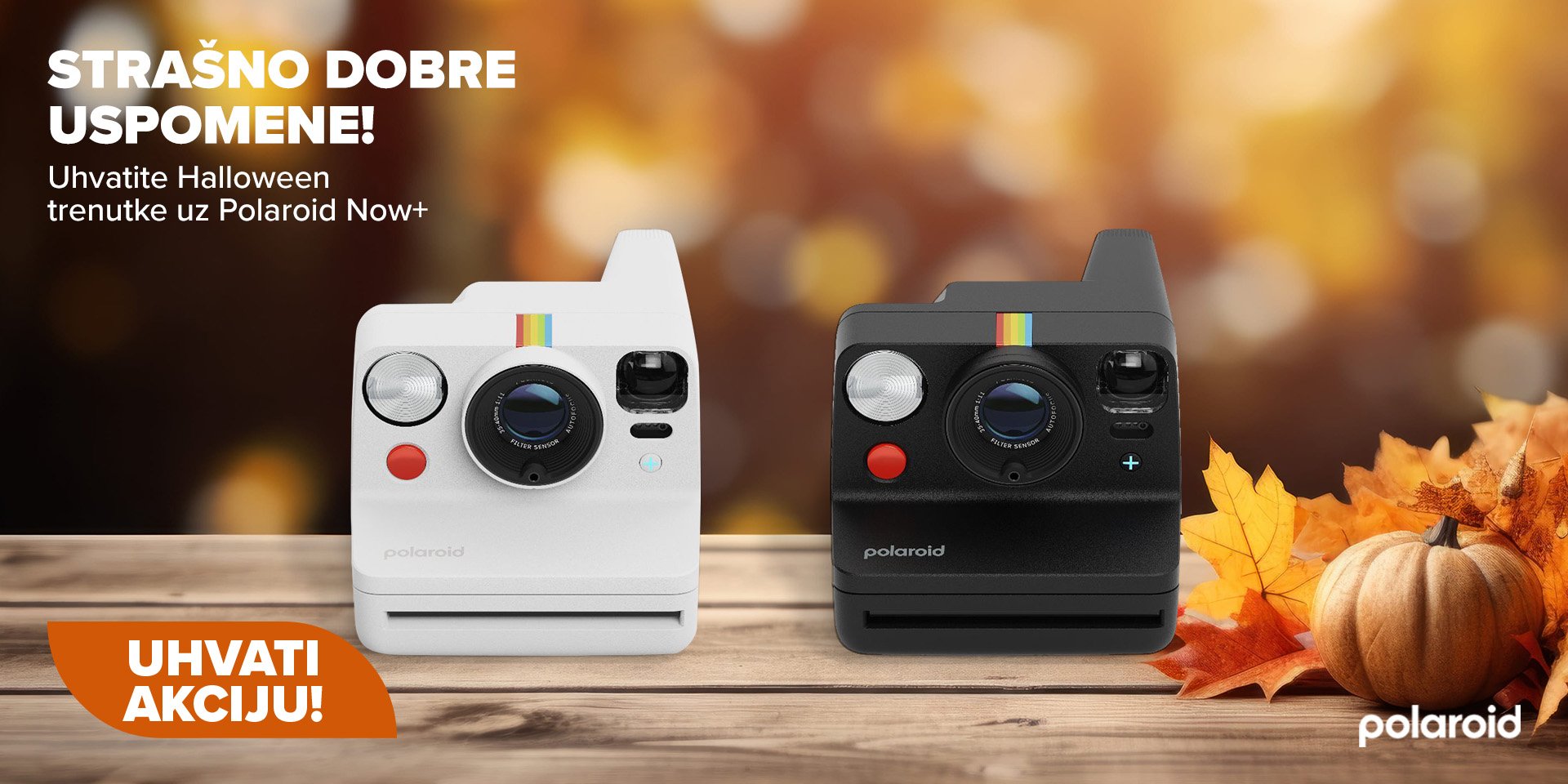 polaroid listopad